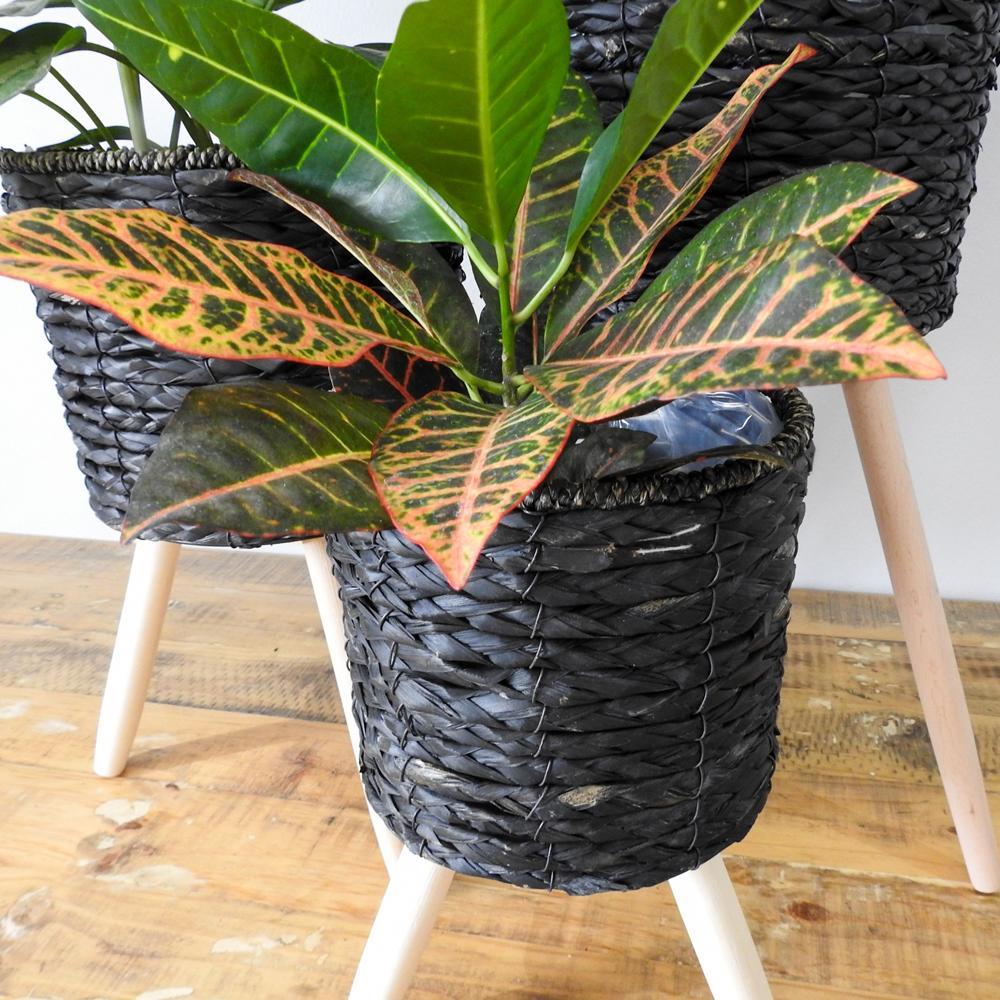 Black Basket on Wooden Stand