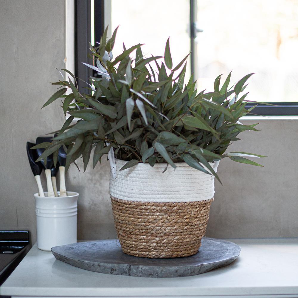 White Two-tone Basket with Leather Handles