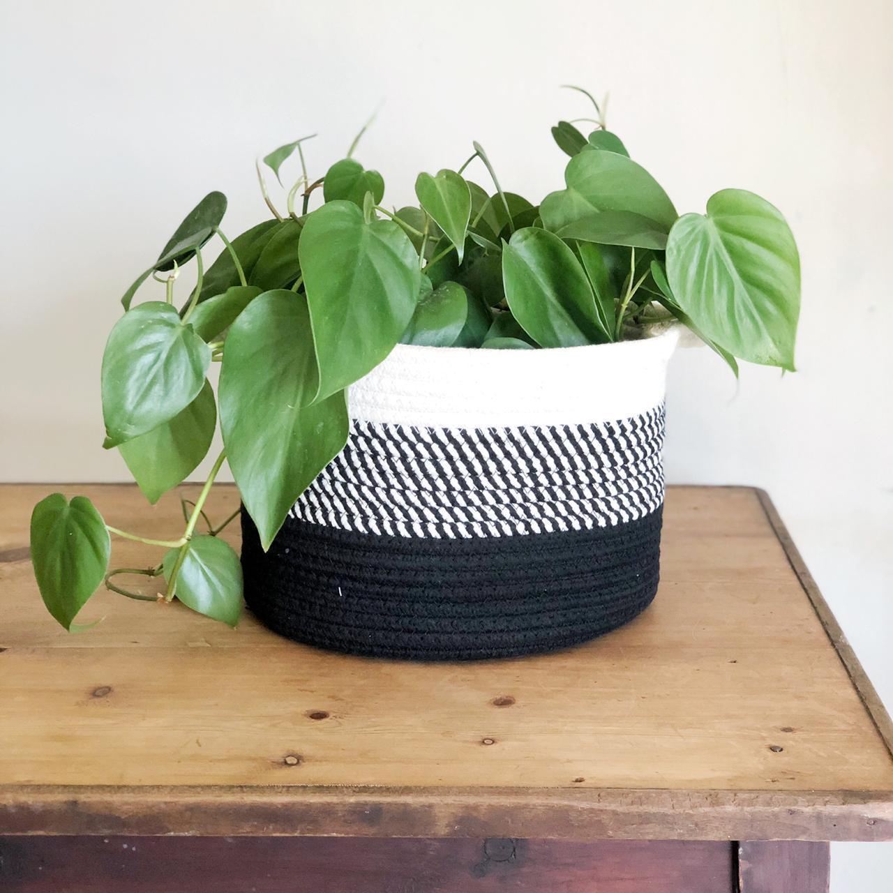 Black Ombré Cotton Basket