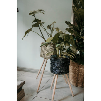 Black Basket on Wooden Stand