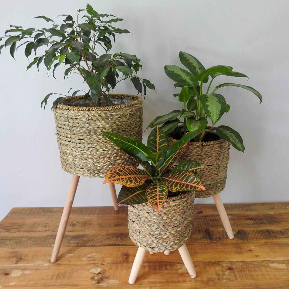 Natural Basket on Wooden Stand